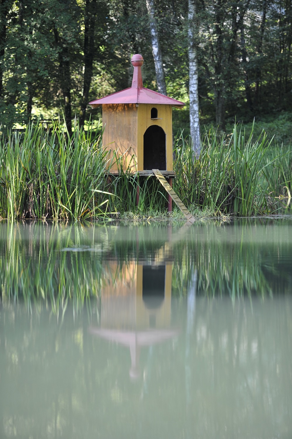 Philosophieren mit Kindern